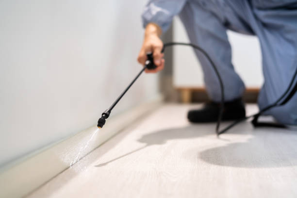 Licensed Fumigation Services service in Pelahatchie, MS - Nex Pest Control