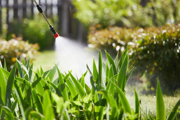 24/7 Emergency Fumigation Services experts in Pelahatchie, MS