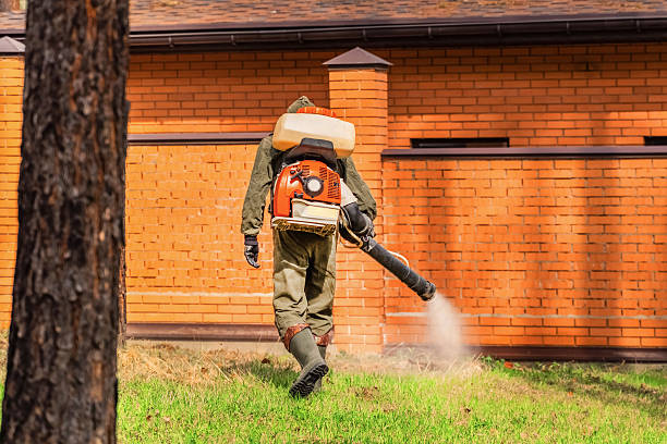 Trusted Mosquito Control service in Pelahatchie, MS - Nex Pest Control